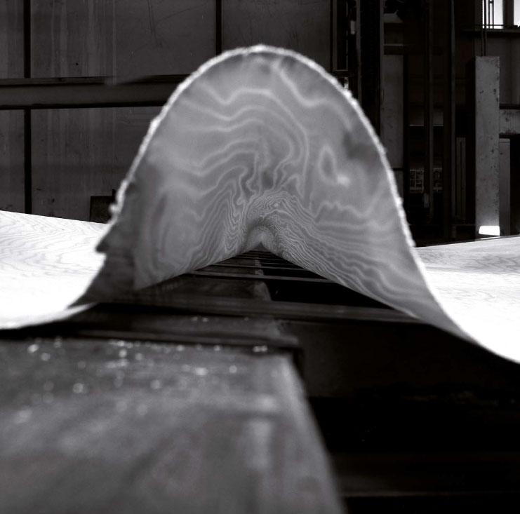 Festival del Legno, Cantù, Open Day 28 settembre