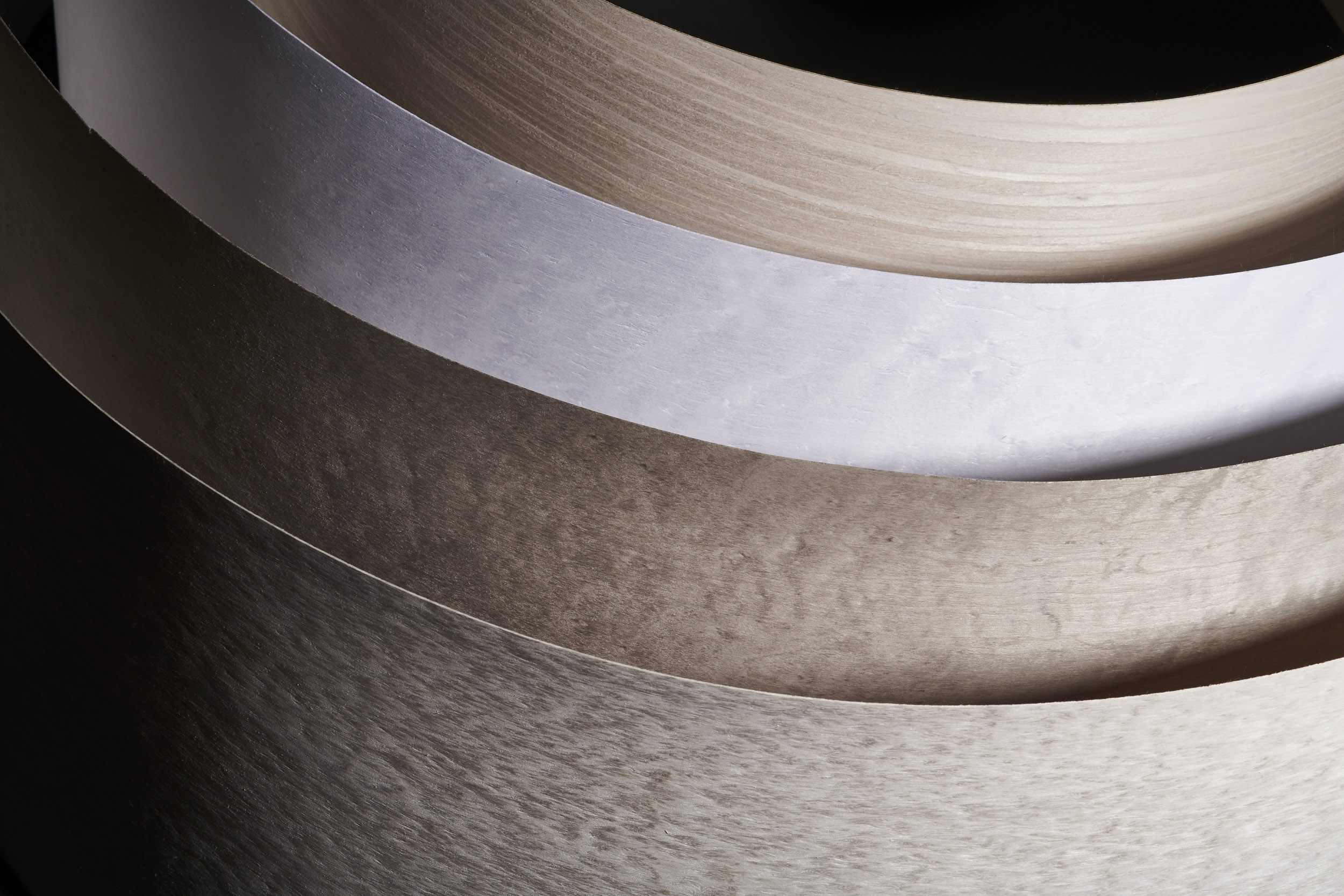 Convocazione di assemblea ordinaria dei soci